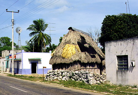 Thatched house sits among modern buildings in a village in Yucatan. Mexico.