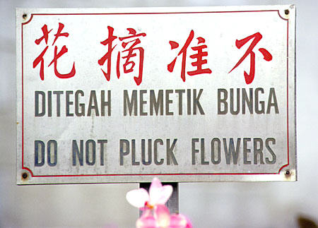 Understated warning sign at the snake temple in Georgetown. Malaysia.