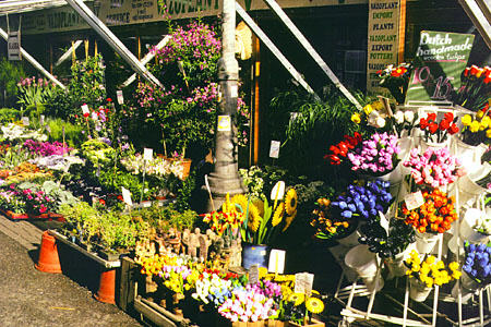 Amsterdam Flower market. Amsterdam, Netherlands.