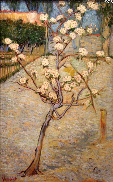 Small pear tree in blossom painting (1888) by Vincent van Gogh at Van Gogh Museum. Amsterdam, NL.