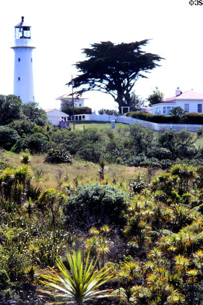 Lighthouse and other buildings on Tiritiri Matangi. New Zealand.
