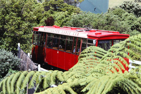 Peering through trees at Wellington cable car. Wellington, New Zealand.
