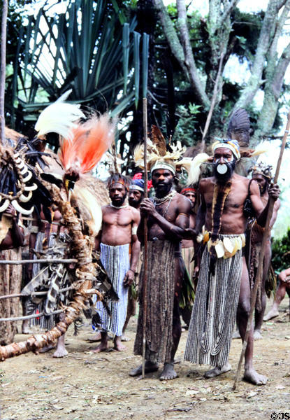 Feathered and furred dress of the Chimbu players. Papua New Guinea.