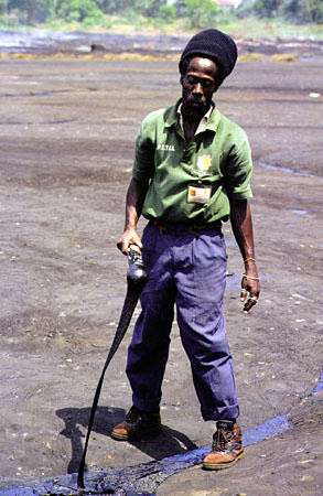 Guide showing the taffy-like tar of Pitch Lake. Trinidad and Tobago.