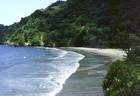 Beach on the North Coast of Trinidad. Trinidad and Tobago.