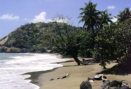 King's Bay at Delaford. Trinidad and Tobago.