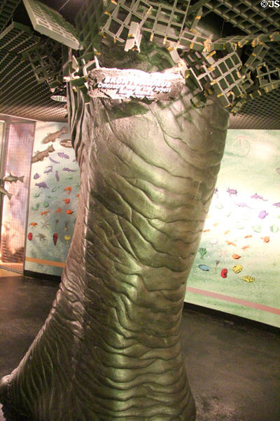 Model of Brontosaurus leg breaking through ceiling at Our Dynamic Earth. Edinburgh, Scotland.