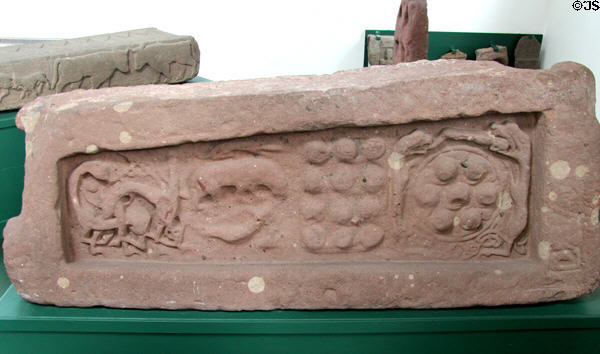 Pictish graveslab (back #11) with entwined beasts, a bear & hound, 12 bosses & 7 bosses circled by serpents at Meigle Sculptured Stone Museum. Meigle, Scotland.