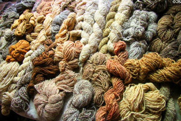 Array of yarns dyed various colors in weavers cottage at Ulster American Folk Park. Omagh, Northern Ireland.