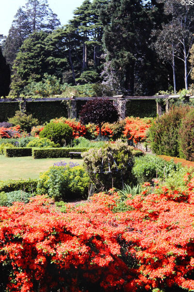 Gardens of Mount Stewart House. Northern Ireland.