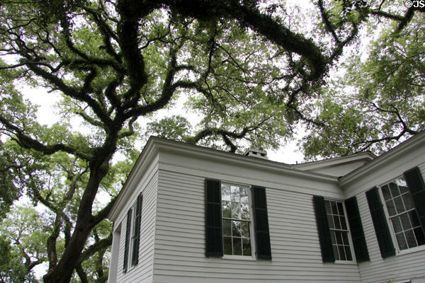 House wing under oak trees at Oakleigh Plantation. Mobile, AL.