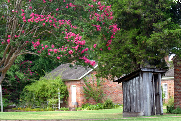 Flowering trees over an outhouse at Historic Arkansas Museum. Little Rock, AR.