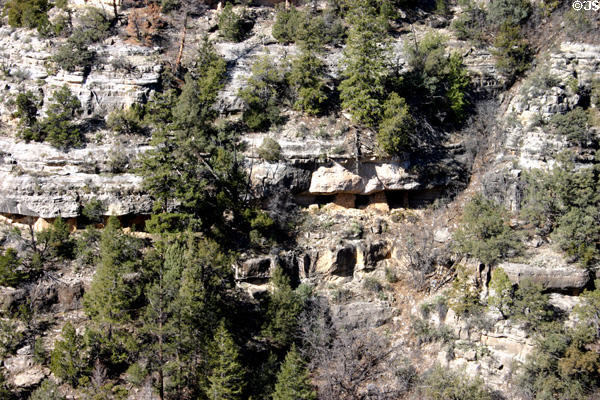 Row of caves in canyon wall lured natives to area of Walnut Canyon National Monument. AZ.