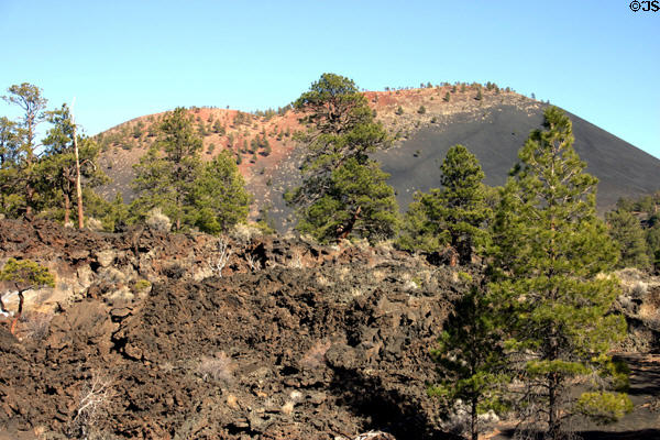 Bonito lava flow (1180) at Sunset Crater. AZ.