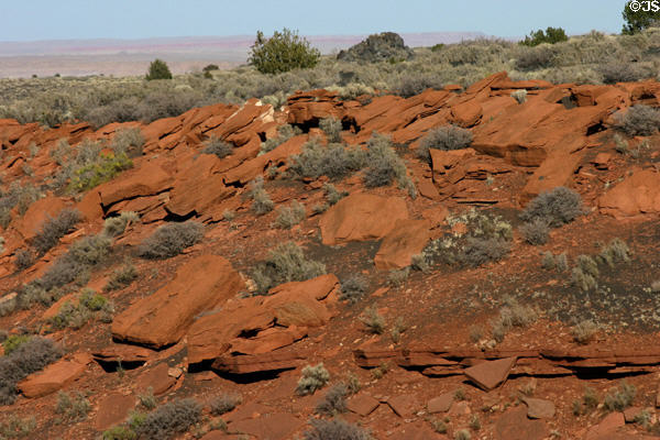 Red sandstone north of Sunset Crater. AZ.