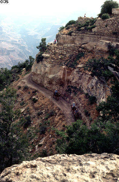 Grand Canyon mule trail to bottom of canyon. AZ.