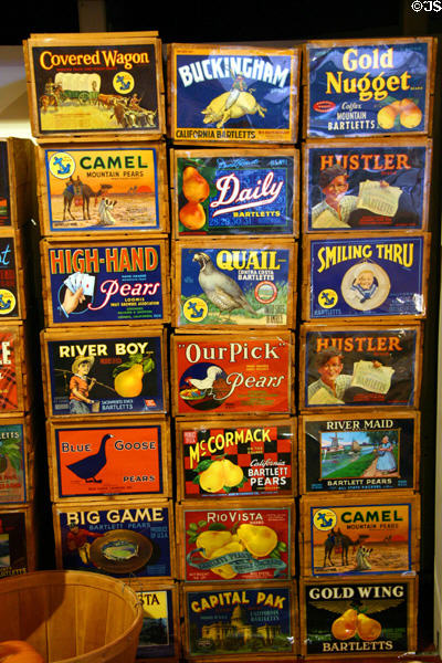 Crates bearing various brands of canned pears grown in the area at Gold Rush History Center. Sacramento, CA.