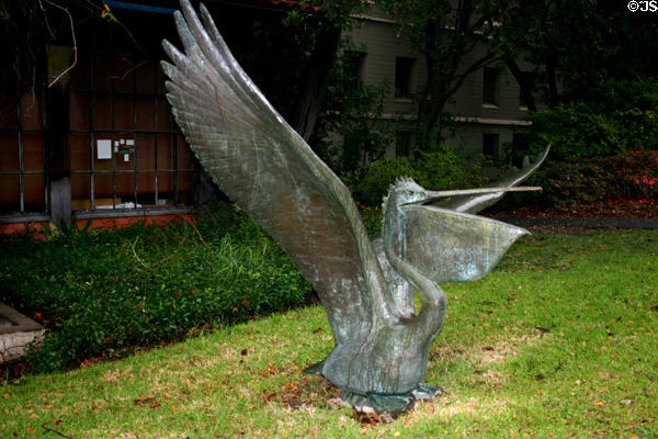 Pelican statue in front of former California Pelican humor magazine building at UC Berkeley. Berkeley, CA.