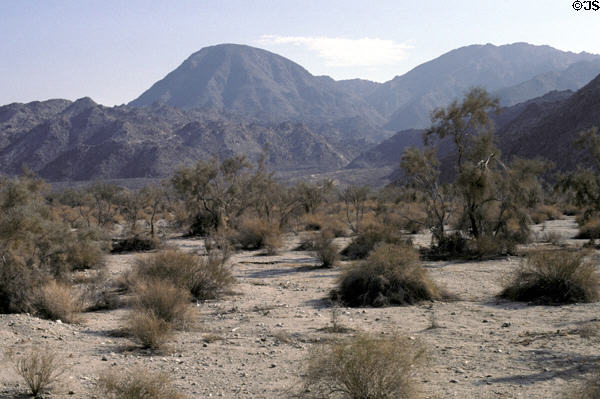 Desert landscape of Living Desert Zoo & Gardens. Palm Desert, CA.