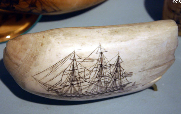 Scrimshaw of sailing ship on whale's tooth in Maritime Museum. Monterey, CA.