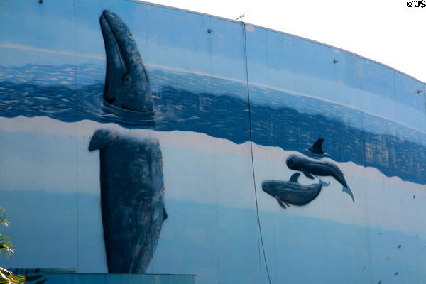 Detail of Wyland mural on Long Beach Arena. Long Beach, CA.