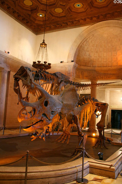 Dinosaur display in main hall of LA County Natural History Museum. Los Angeles, CA.