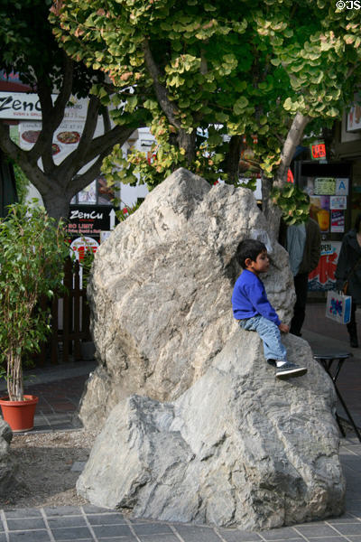 Rustic boulder beneath gingko tree at Japanese Village Plaza. Los Angeles, CA.