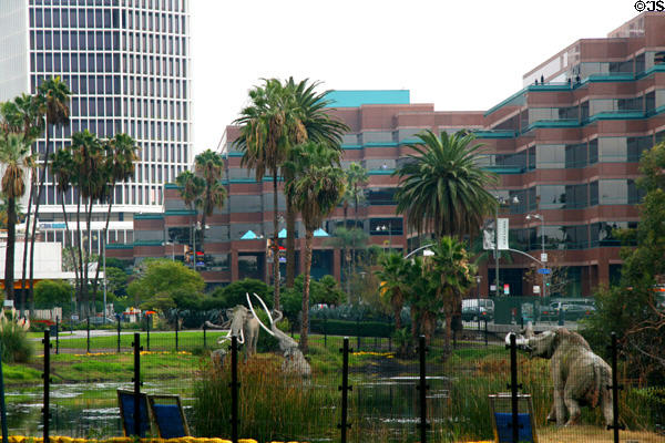 5670 Wilshire Blvd. & Wilshire Courtyard above LaBrea Tar Pits. Los Angeles, CA.