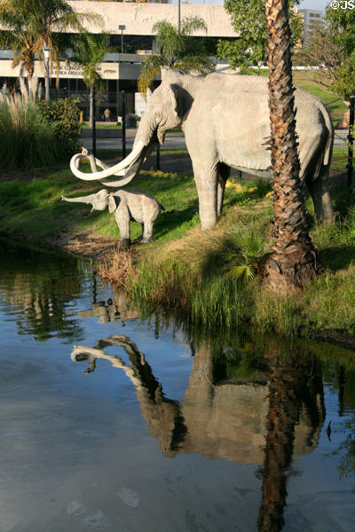 Sculpted mastodons reflected in La Brea Tar Pits in Hancock Park. Los Angeles, CA.