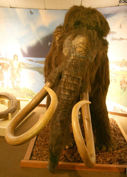 Replica of American Mastodon at Museum of La Brea Tar Pits. Los Angeles, CA.