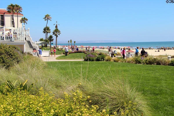 Landscaped beachfront of Hotel del Coronado. Coronado, CA.