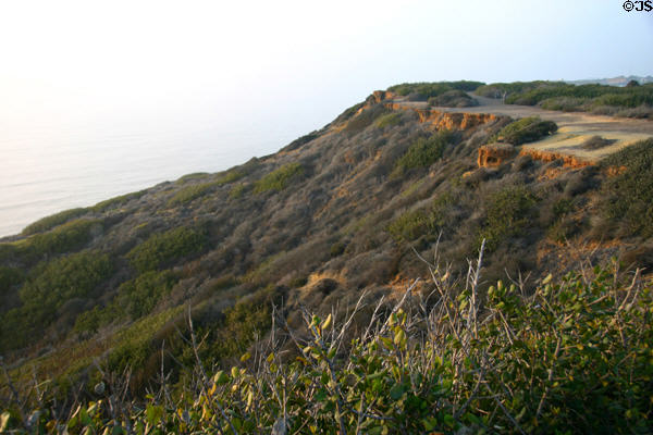 Landscape at Cabrillo National Monument. San Diego, CA.