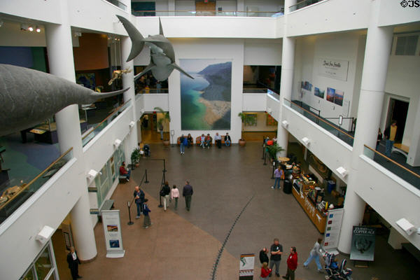 Atrium of San Diego Museum of Natural History. CA.