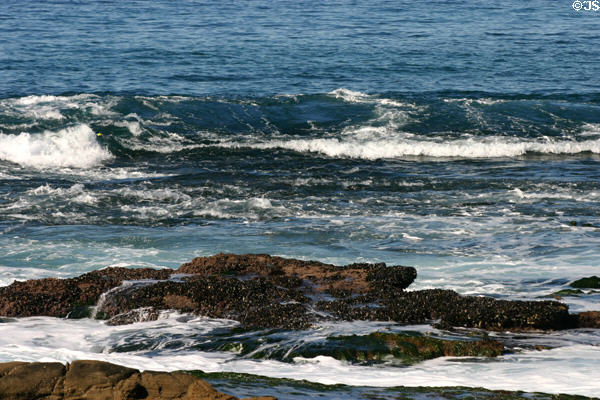 Waves breaking on rocks. La Jolla, CA.