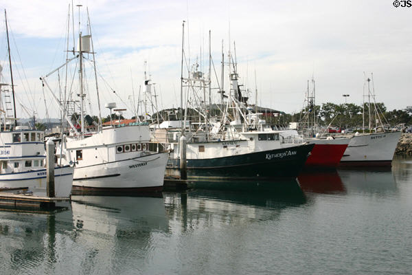 Tuna fishing boats in port. San Diego, CA.