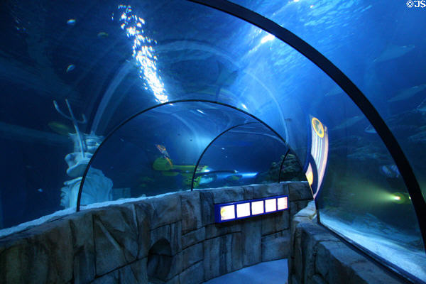 Sea-Life aquarium at Legoland California. Carlsbad, CA.