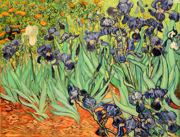 Irises painting (1889) by Vincent van Gogh at J. Paul Getty Museum Center. Malibu, CA.