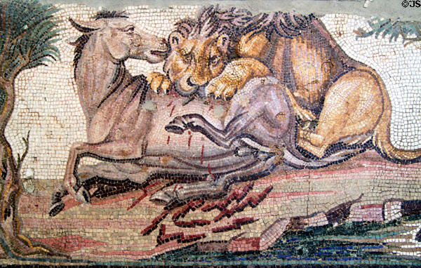 Roman mosaic floor with lion attacking an onager (c150 CE) at Getty Museum Villa. Malibu, CA.