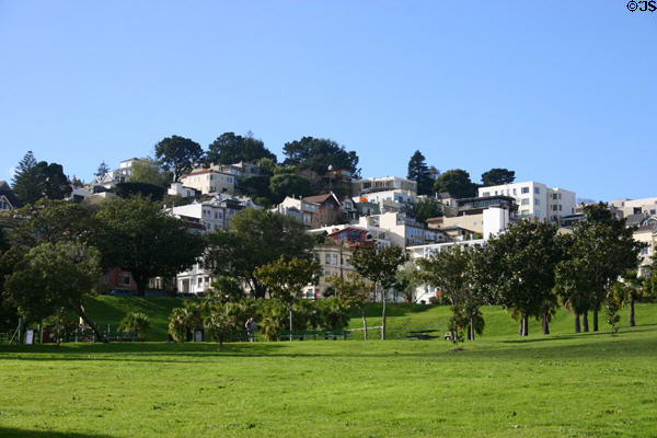 Mission District houses rise beyond Dolores Park. San Francisco, CA.