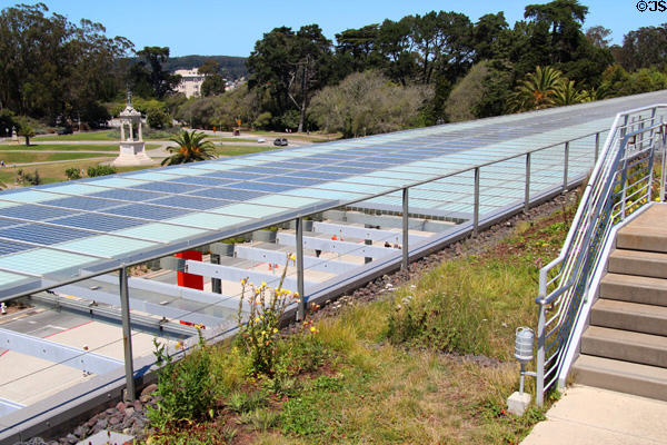 Solar panel abuts living roof at California Academy of Science. San Francisco, CA.