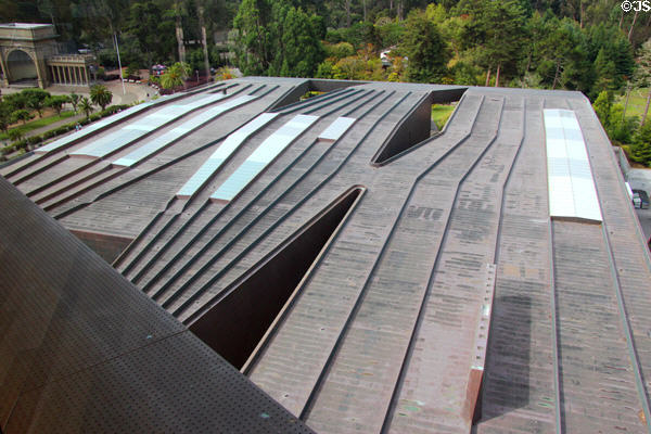 Sculpted roof of de Young Museum by Herzog & de Meuron. San Francisco, CA.