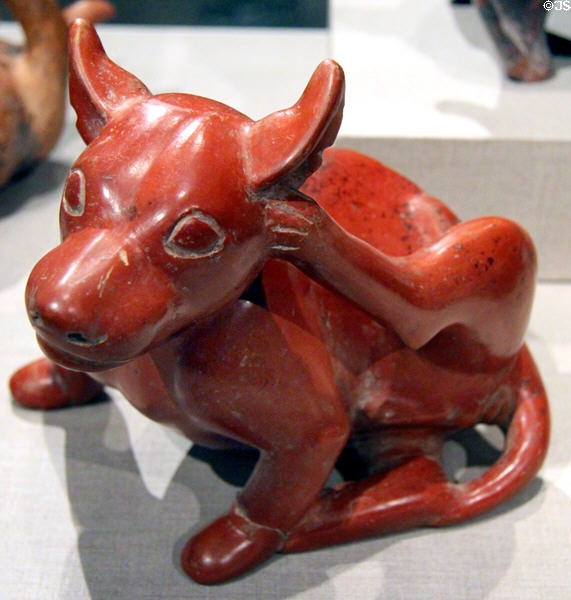 Colima earthenware dog scratching its head (300 BCE-300 CE) from West Mexico at de Young Museum. San Francisco, CA.
