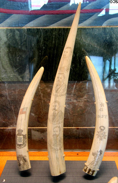 Walrus ivory scrimshaw (c1850-1900) at National Maritime Museum. San Francisco, CA.