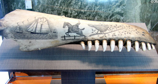 Orca jawbone scrimshaw (c1850-1900) at National Maritime Museum. San Francisco, CA.