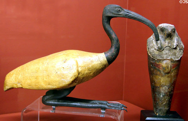 Gilt ibis coffin (Late Period - c664-332 BCE) at Rosicrucian Egyptian Museum. San Jose, CA.