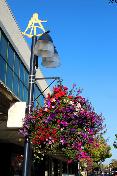 Sextant lamp stand over flowers at Jack London Square. Oakland, CA.