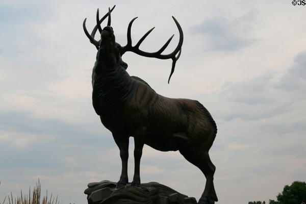 Sound of Autumn sculpture (2007) of bull elk by Gerald Balciar at Leanin' Tree Museum. Boulder, CO.