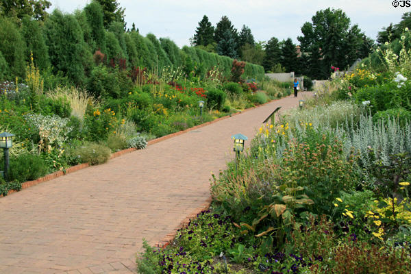 Path lined with flowering plants at Denver Botanic Gardens. Denver, CO.