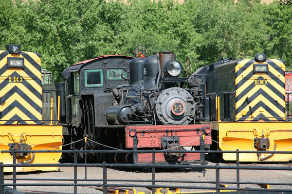 Steam locomotive #14 by Lima Locomotive Works between two diesel engines at Colorado Railroad Museum. CO.