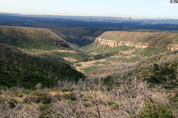 Canyons of Mesa Verde National Park. CO.